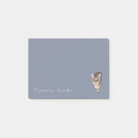 Américain Brown Shorthair Kitty