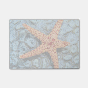 Post-it® Amidon Sur Un Corail Avec Des Politiciens