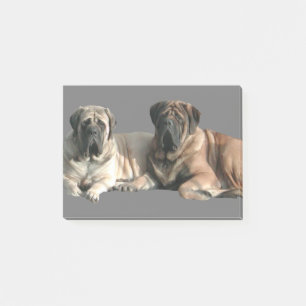 Post-it® Amis Mastiff anglais
