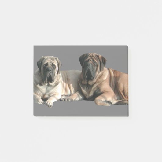 Post-it® Amis Mastiff anglais (Devant)