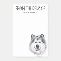 Amoureux de Malamute