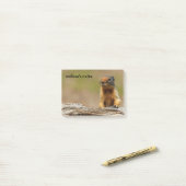 Post-it® Amusant Cute Saucy Columbian Ground Squirrel (Sur un bureau)