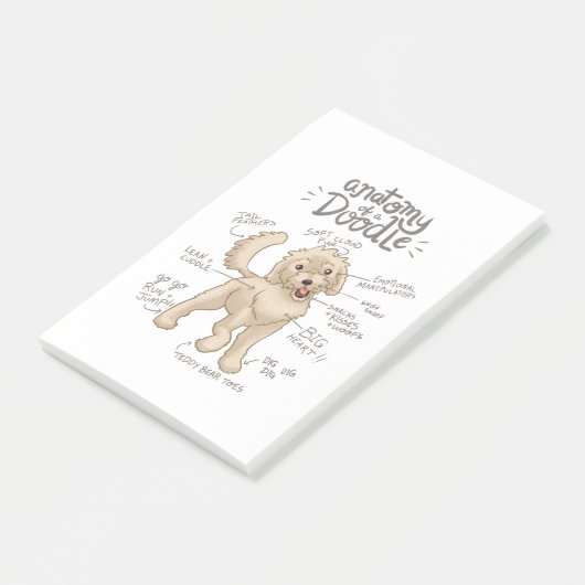 Post-it® Anatomie d'un doré (Incliné)