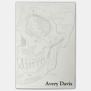 Post-it® Anatomie Vintage Région antérotrolatérale du cr