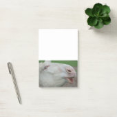 Post-it® Âne baroque blanc (Bureau)