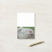 Post-it® Âne baroque blanc (Sur un bureau)