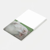 Post-it® Âne baroque blanc (Incliné)