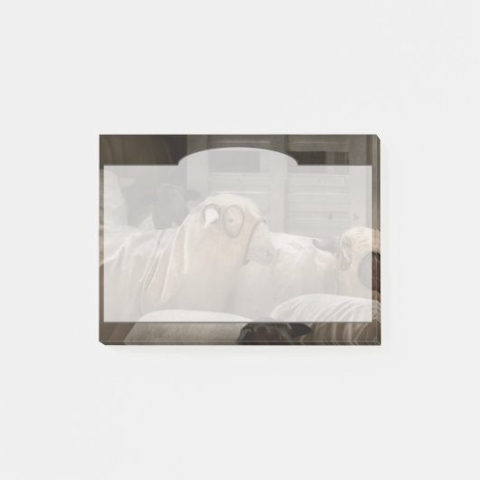 Post-it® Animal - Mouton - L'Ordre (Devant)