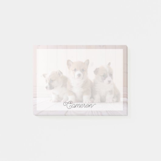 Post-it® Animaux de bébés cutest | 3 Baby Corgis (Devant)