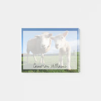 Animaux de bébés cutest | Agneau nouveau-né & mama