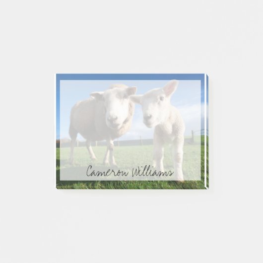 Post-it® Animaux de bébés cutest | Agneau nouveau-né & mama (Devant)