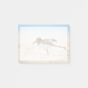 Post-it® Animaux de bébés cutest American Oystercatcher C