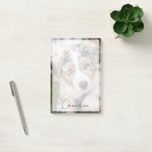 Post-it® Animaux de bébés cutest Australian Shepherd Pupp