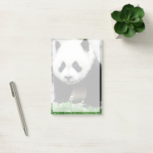 Post-it® Animaux de bébés cutest | Baby Panda Bear (Bureau)