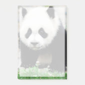 Post-it® Animaux de bébés cutest | Baby Panda Bear (Devant)