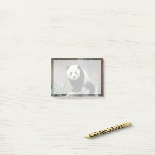 Post-it® Animaux de bébés cutest | Baby Panda géant (Sur un bureau)