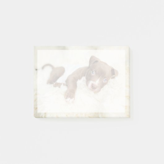 Post-it® Animaux de bébés cutest | Baby Pit Bull Puppy (Devant)
