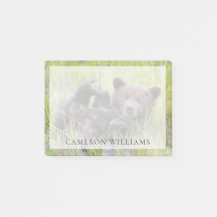 Post-it® Animaux de bébés cutest   Bébé Ours Brown