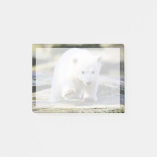 Post-it® Animaux de bébés cutest   Bébé Ours Polaire Cub