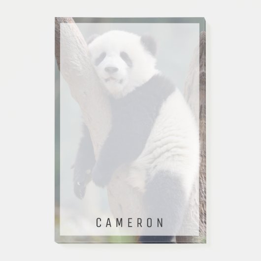 Post-it® Animaux de bébés cutest | Bébé Panda Ours Dormir (Devant)