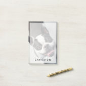 Post-it® Animaux de bébés cutest | Boston Bulldog Smile (Sur un bureau)