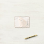 Post-it® Animaux de bébés cutest | British Longhair Kitten (Sur un bureau)