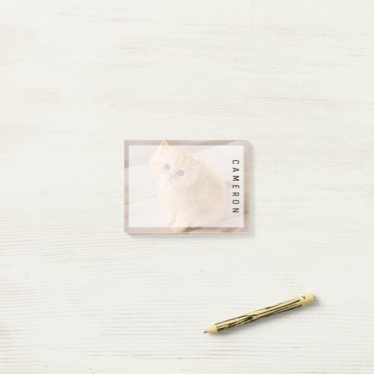 Post-it® Animaux de bébés cutest | British Longhair Kitten (Sur un bureau)