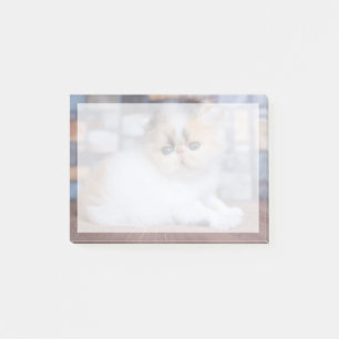 Post-it® Animaux de bébés cutest Calico Persian Kitten