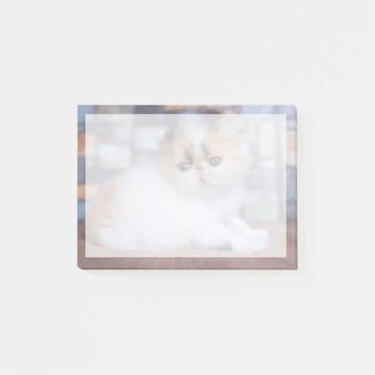 Post-it® Animaux de bébés cutest | Calico Persian Kitten (Devant)