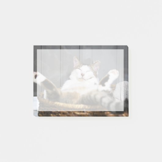 Post-it® Animaux de bébés cutest | Chat dans le lit (Devant)