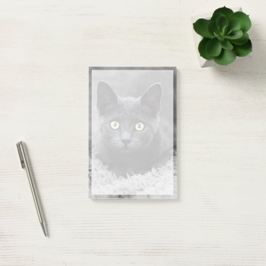 Post-it® Animaux de bébés cutest | Chat gris (Bureau)