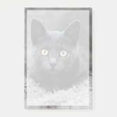 Post-it® Animaux de bébés cutest | Chat gris (Devant)