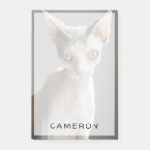 Post-it® Animaux de bébés cutest | Chat Sphinx (Devant)
