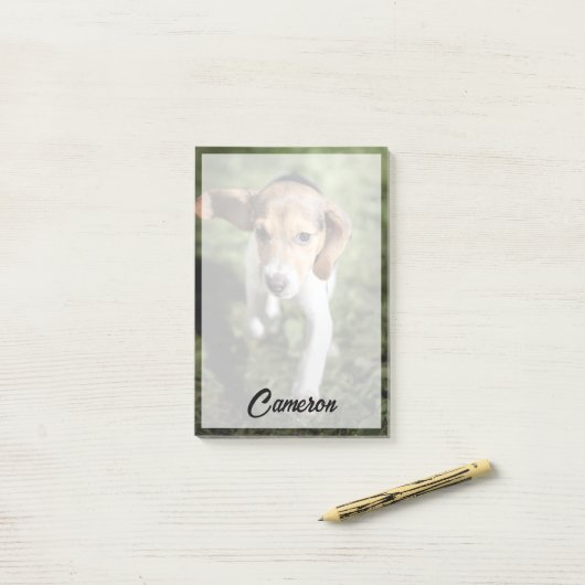 Post-it® Animaux de bébés cutest | Chiot Beagle (Sur un bureau)