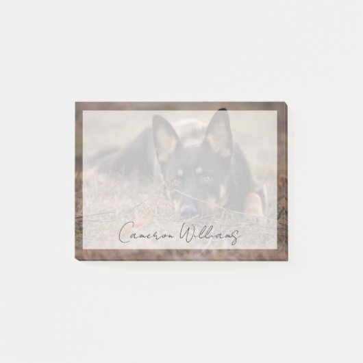 Post-it® Animaux de bébés cutest | Chiot berger allemand (Devant)