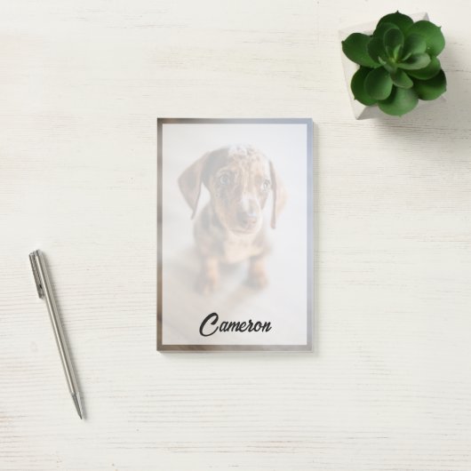 Post-it® Animaux de bébés cutest | Chiot Brown (Bureau)