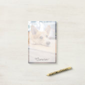 Post-it® Animaux de bébés cutest | Chiot de Corgi au sol (Sur un bureau)