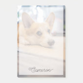 Post-it® Animaux de bébés cutest | Chiot de Corgi au sol (Devant)