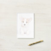 Post-it® Animaux de bébés cutest | Chiot de Corgi blanc (Sur un bureau)