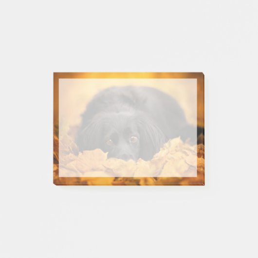 Post-it® Animaux de bébés cutest | Chiot noir espagnol (Devant)