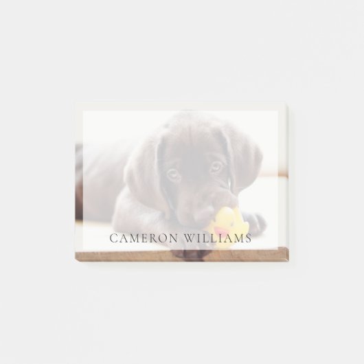 Post-it® Animaux de bébés cutest | Chocolat Labrador Puppy (Devant)