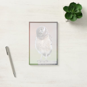Post-it® Animaux de bébés cutest   Chouette à tête bractée
