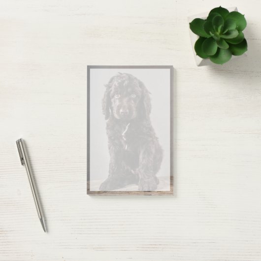 Post-it® Animaux de bébés cutest | Cockapoo Puppy (Bureau)