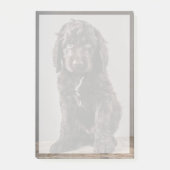 Post-it® Animaux de bébés cutest | Cockapoo Puppy (Devant)