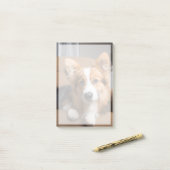 Post-it® Animaux de bébés cutest | Coiffeuse à cheveux long (Sur un bureau)