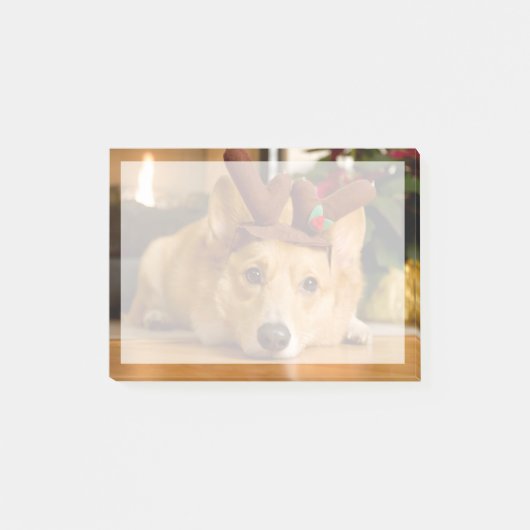 Post-it® Animaux de bébés cutest | Corgi Christmas Reindeer (Devant)