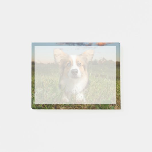 Post-it® Animaux de bébés cutest | Corgi dans le nuage (Devant)