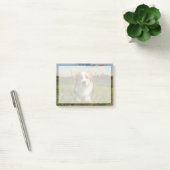 Post-it® Animaux de bébés cutest | Corgi dans le nuage (Bureau)