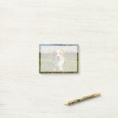Post-it® Animaux de bébés cutest | Corgi dans le nuage (Sur un bureau)