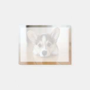 Post-it® Animaux de bébés cutest Corgi Puppy